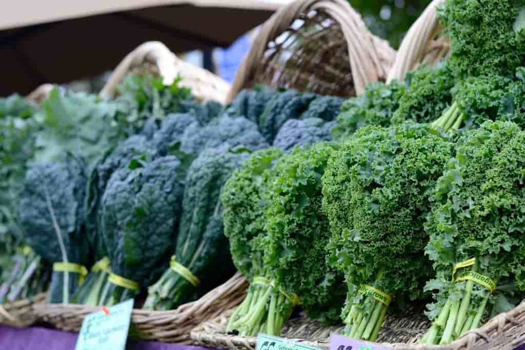تصویر 1 از خرید کلم کوهی + قیمت فروش استثنایی